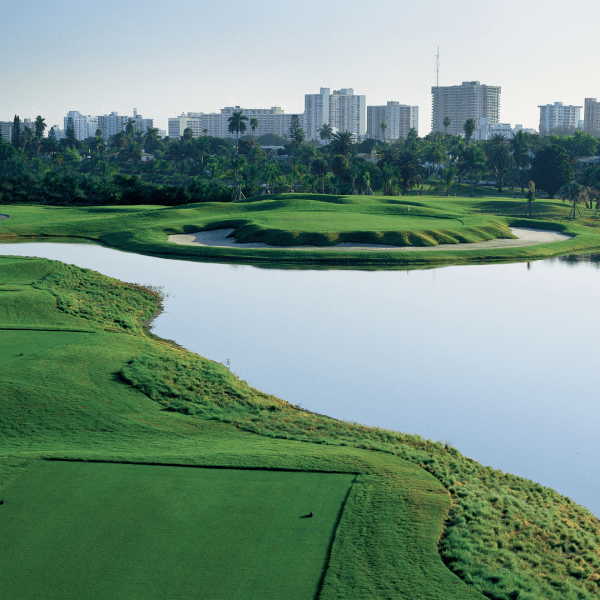 The green at Miami Beach golf club