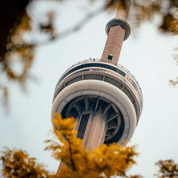 View from beneath CN tower with fall foliage