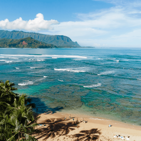 ocean shoreline