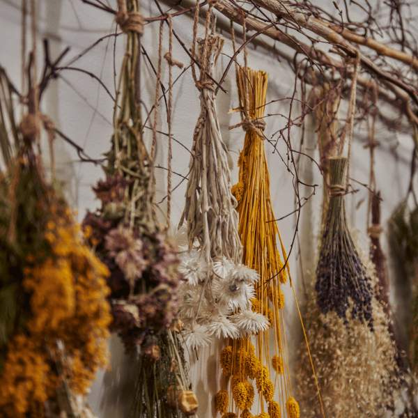 dried flowers