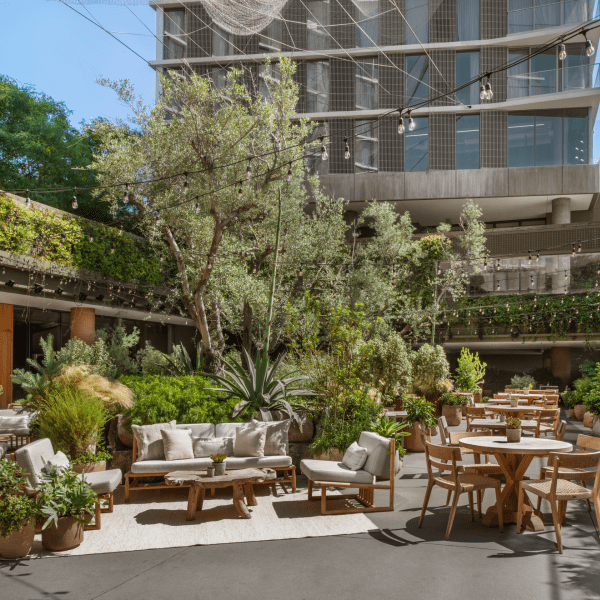 Juniper Lounge and Garden