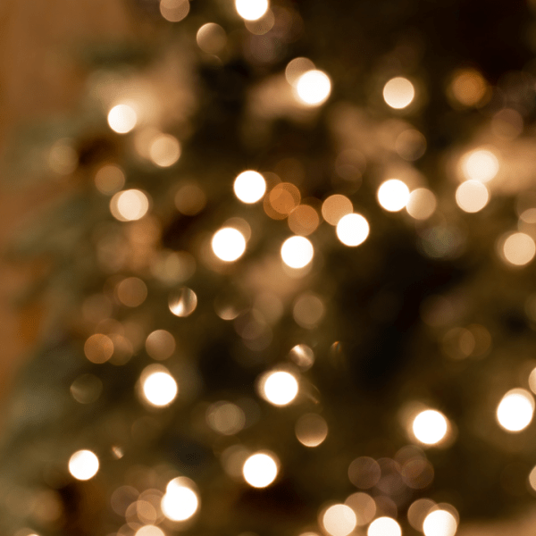 Unfocused image of lights on a tree