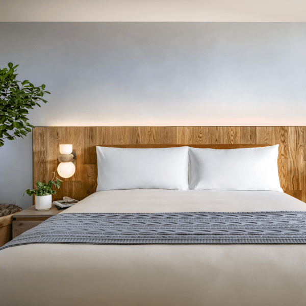 A king size bed with green potted plants on either side