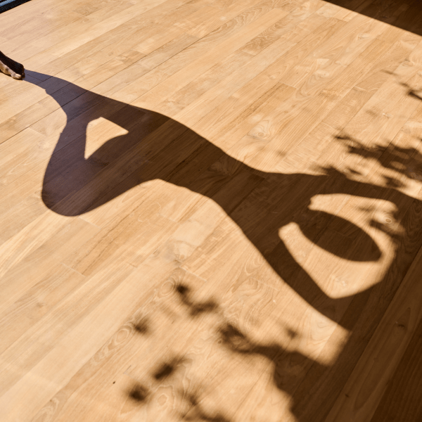 Mind & Movement