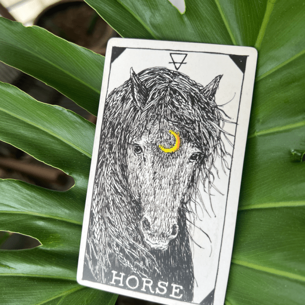 Animal spirit card of a horse