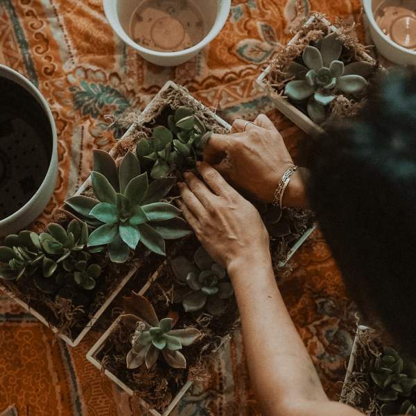 プランティング