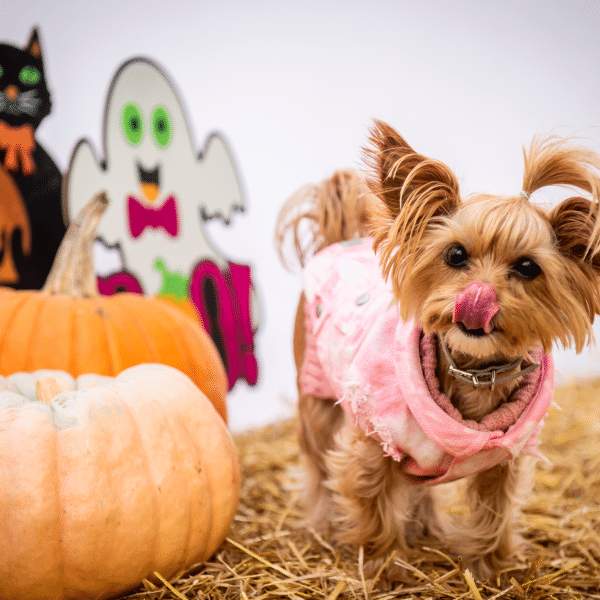 Halloween Costume