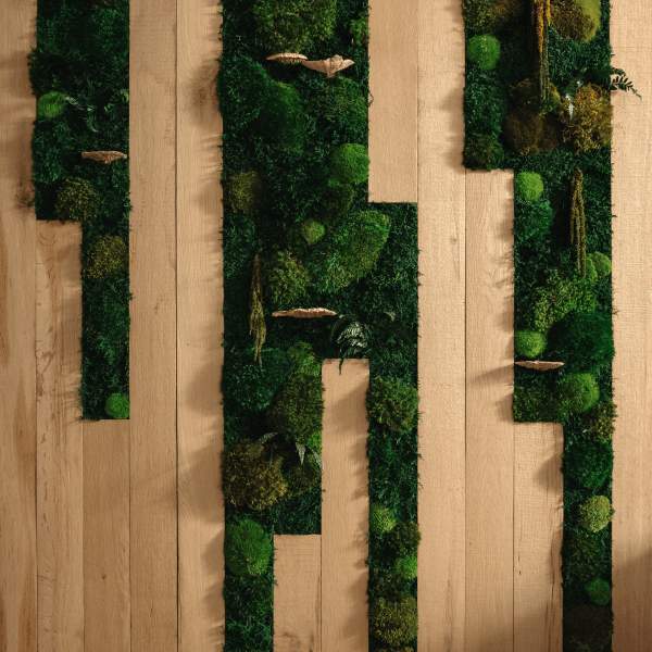 Textura interior MossWall