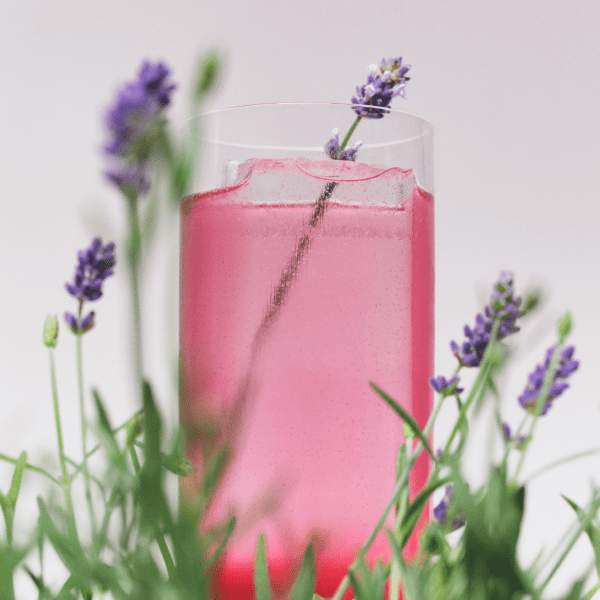 Lavendel