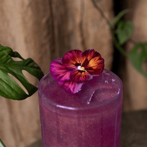 in my nature pride cocktail