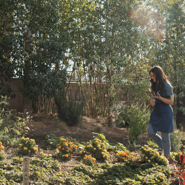 Person walking through a garden