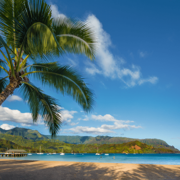 A single palm tree enters left complimenting the beach, sea, and mountain scapes beyond