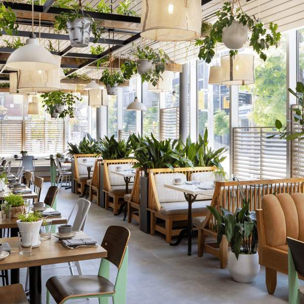 Restaurant with a mix of booth style and chair seating, accented by greenery hanging from the ceiling.
