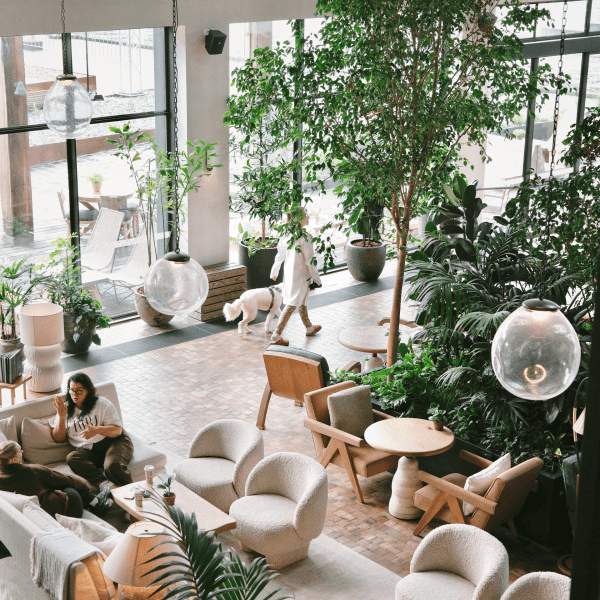 crane bar and lounge from above