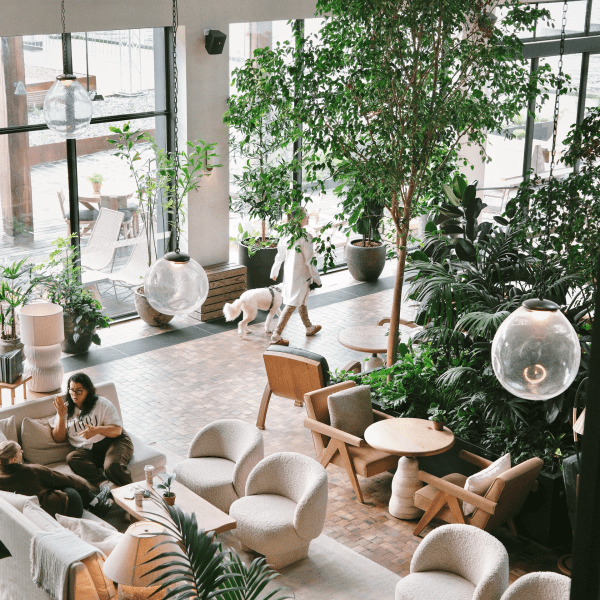 crane bar and lounge from above