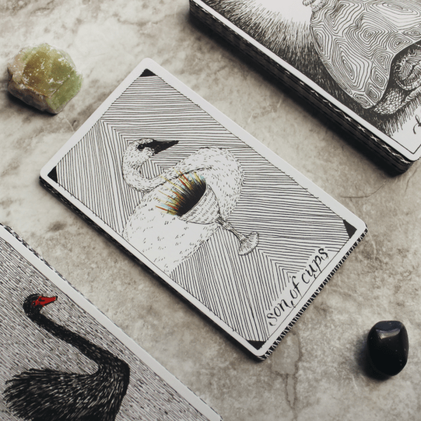 Cards with geese 