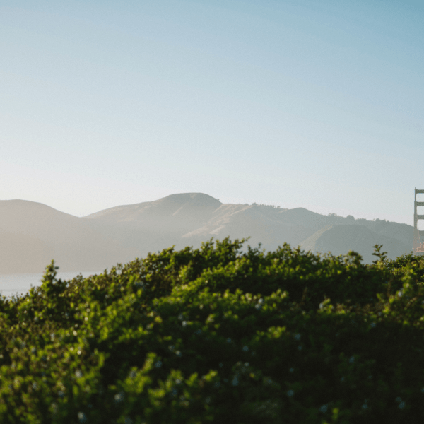 Golden Gate Bridge Greenspace