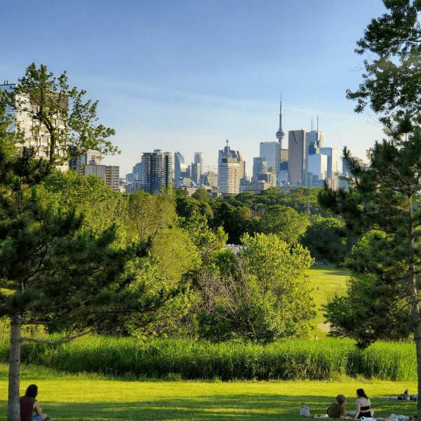 A grassy park in Toronto