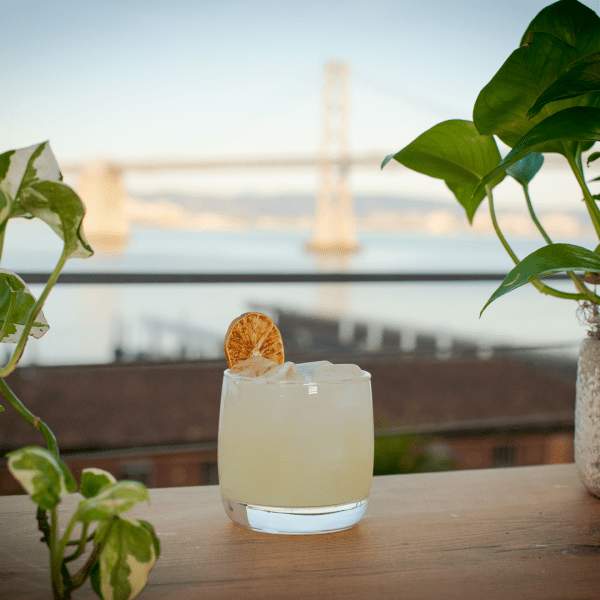rooftop margarita