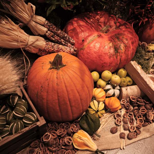 Pumpkin