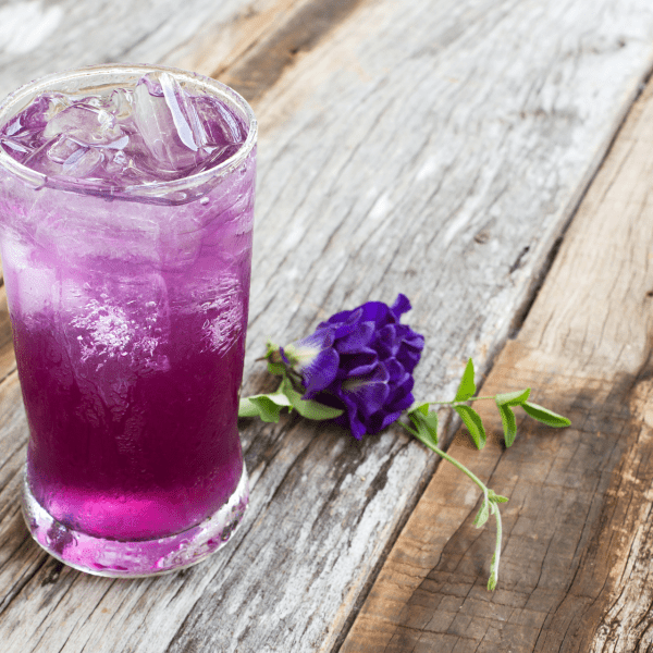 butterfly pea flower cocktail