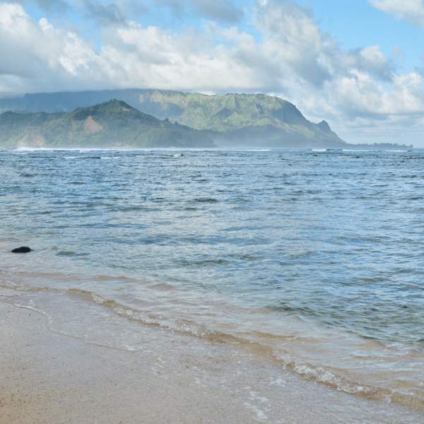 海洋