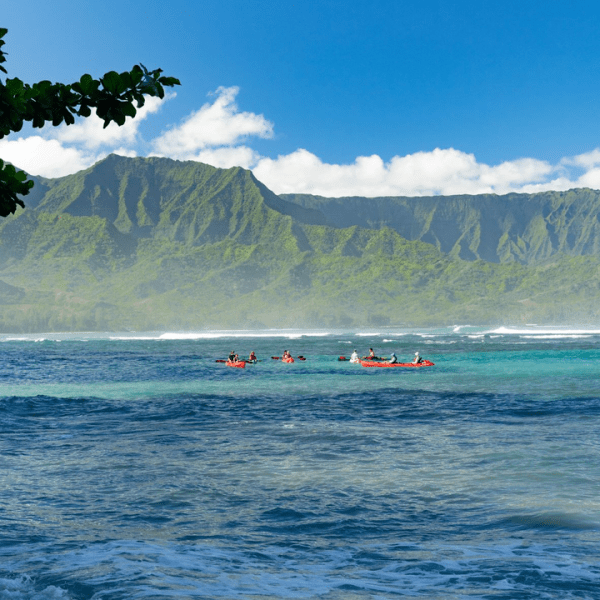 Group of people kayaking on the water