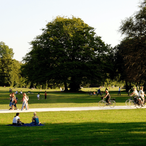 Park views of people enjoying a variety of activities