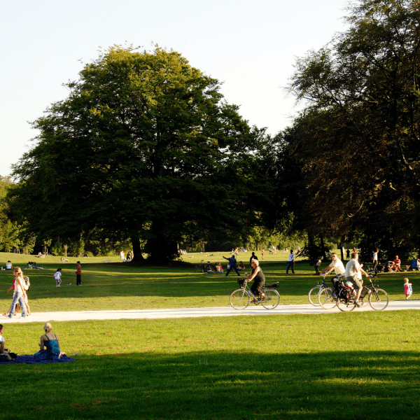 Park views of people enjoying a variety of activities