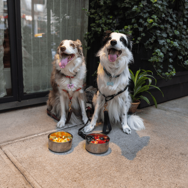 Dog Menu