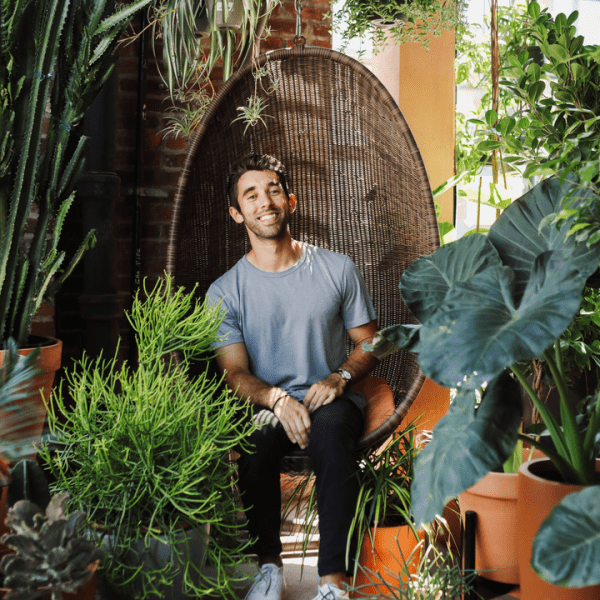 Person sitting in a hanging egg chair surrounded by potted plants