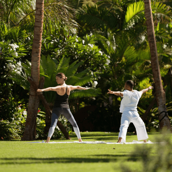 Two people doing yoga under palm trees