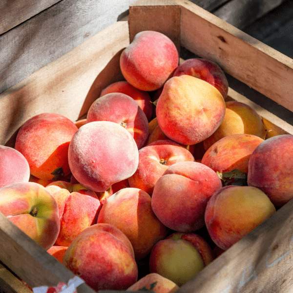 basket of local fruits