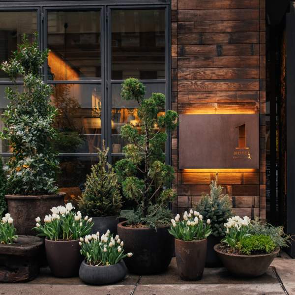 Potted plants outside 1 Central Park