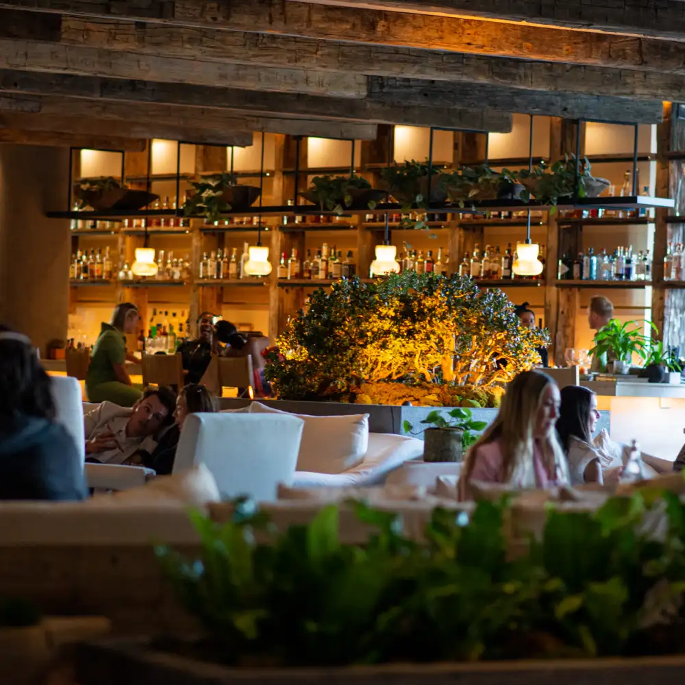 Bar photo 1