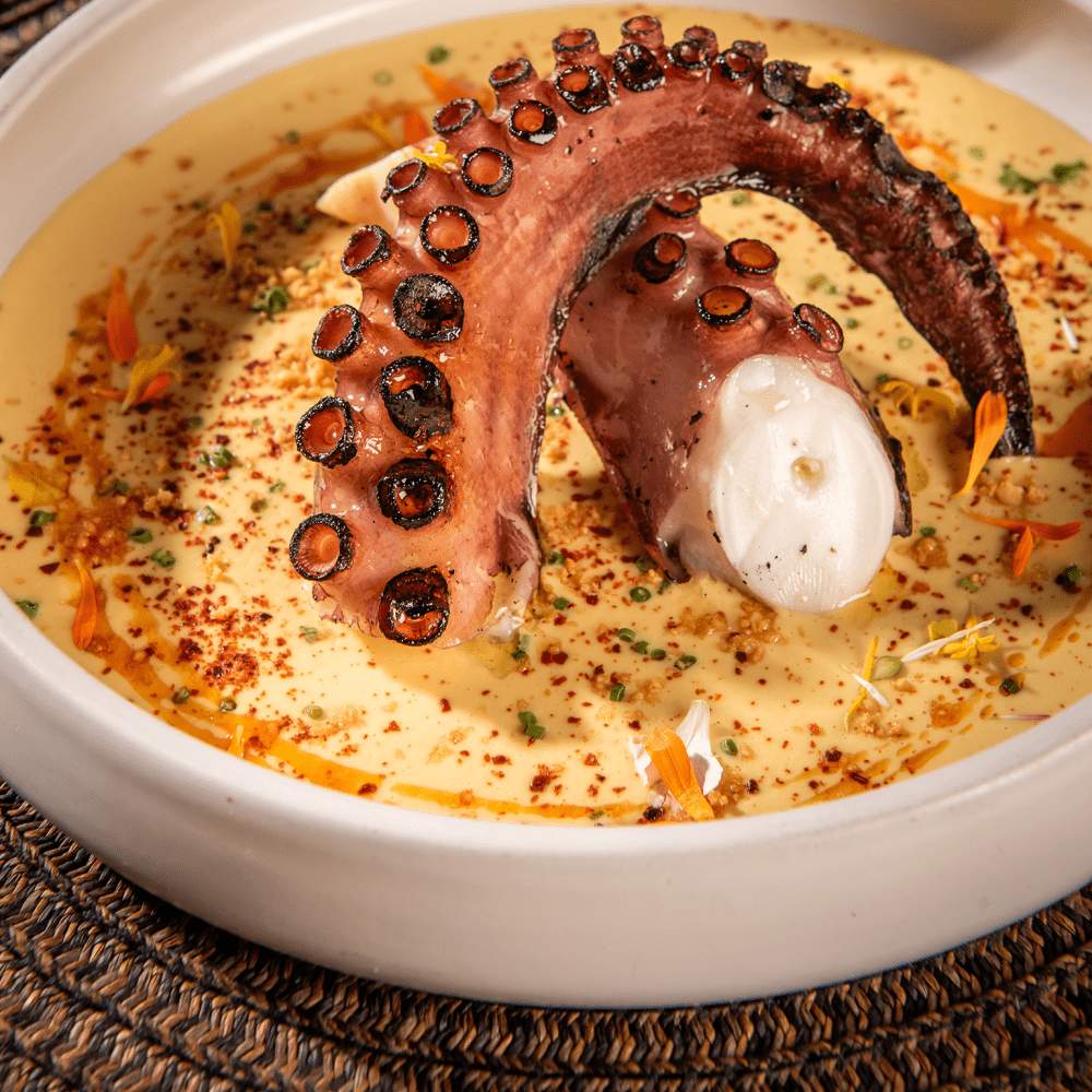 Octopus Casa Madera