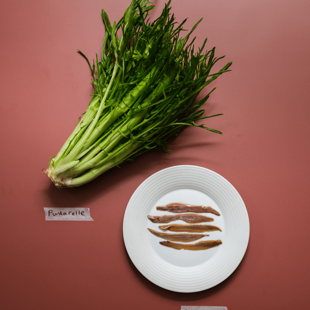 Puntarelle, Anchovy & Oil Of Life