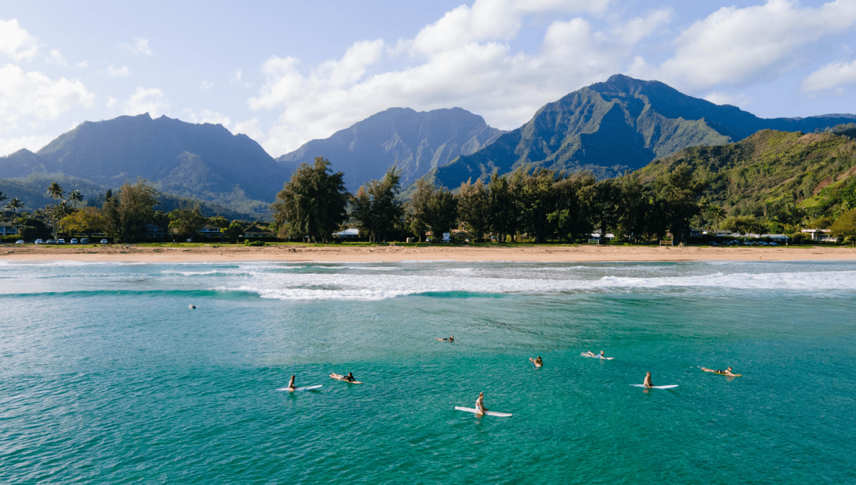 Guests enjoying the ocean using paddleboards with a view of the beach and mountain ranges 