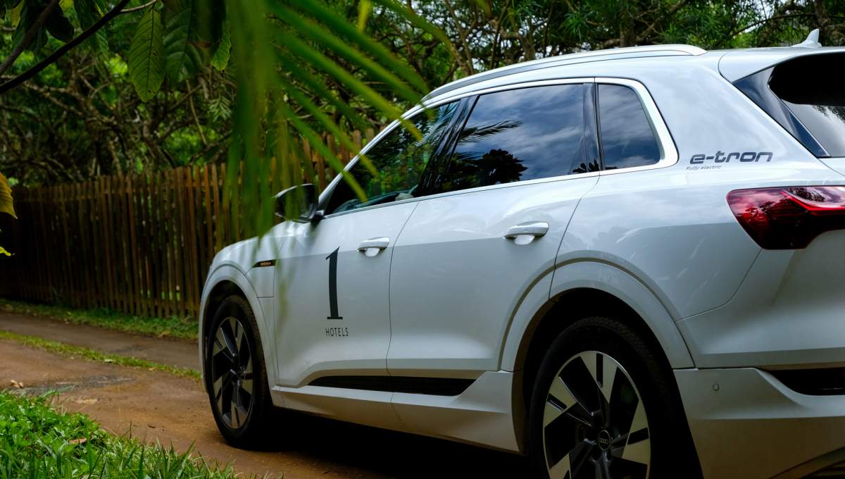 Audi at Lydgate Farms