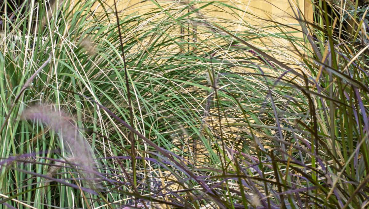 1 Hotel West Hollywood Entry