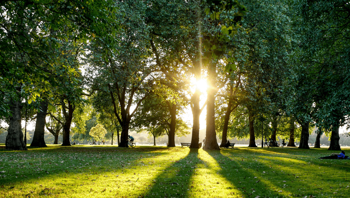 park