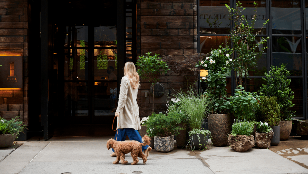 Central Park Entryway