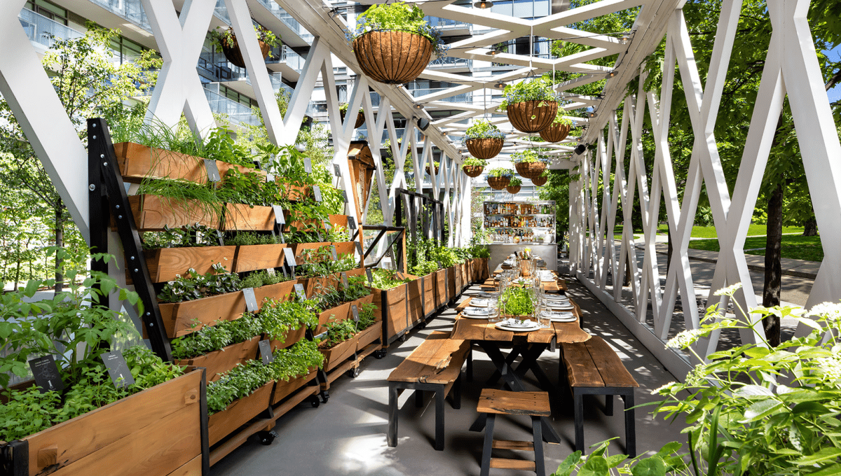Greenhouse