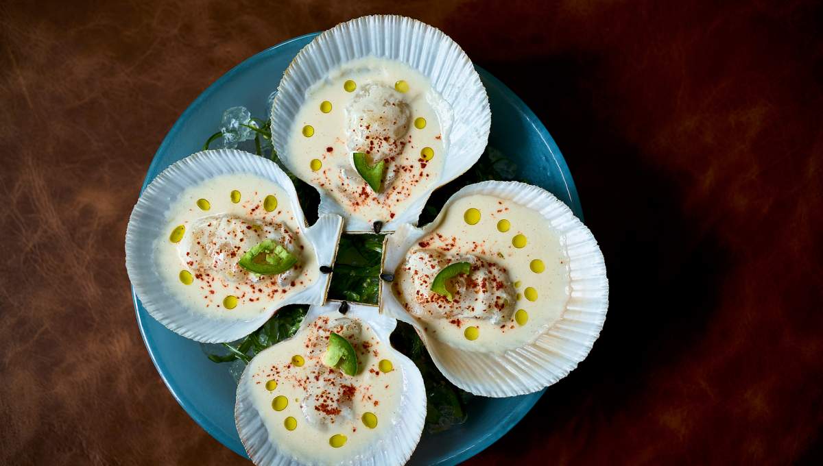 Scallop Crudo at La Loba
