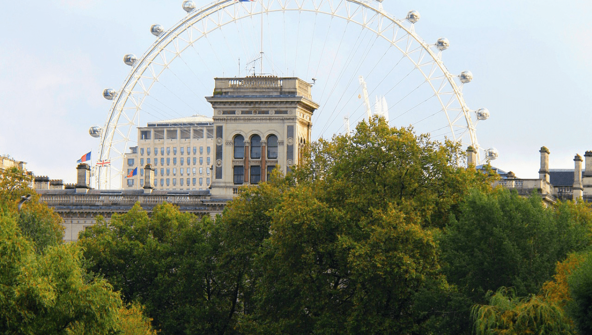 a ferris wheel