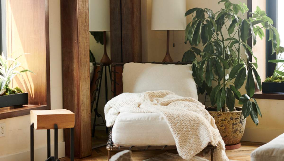 Intérieur de la Greenhouse suite 