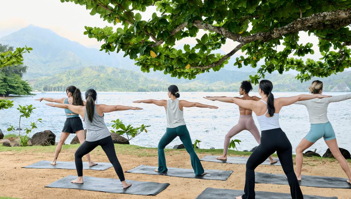 group wellness