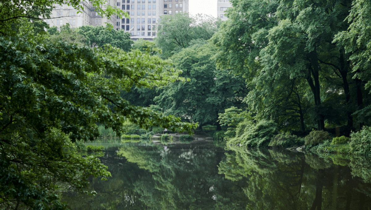 Central Park