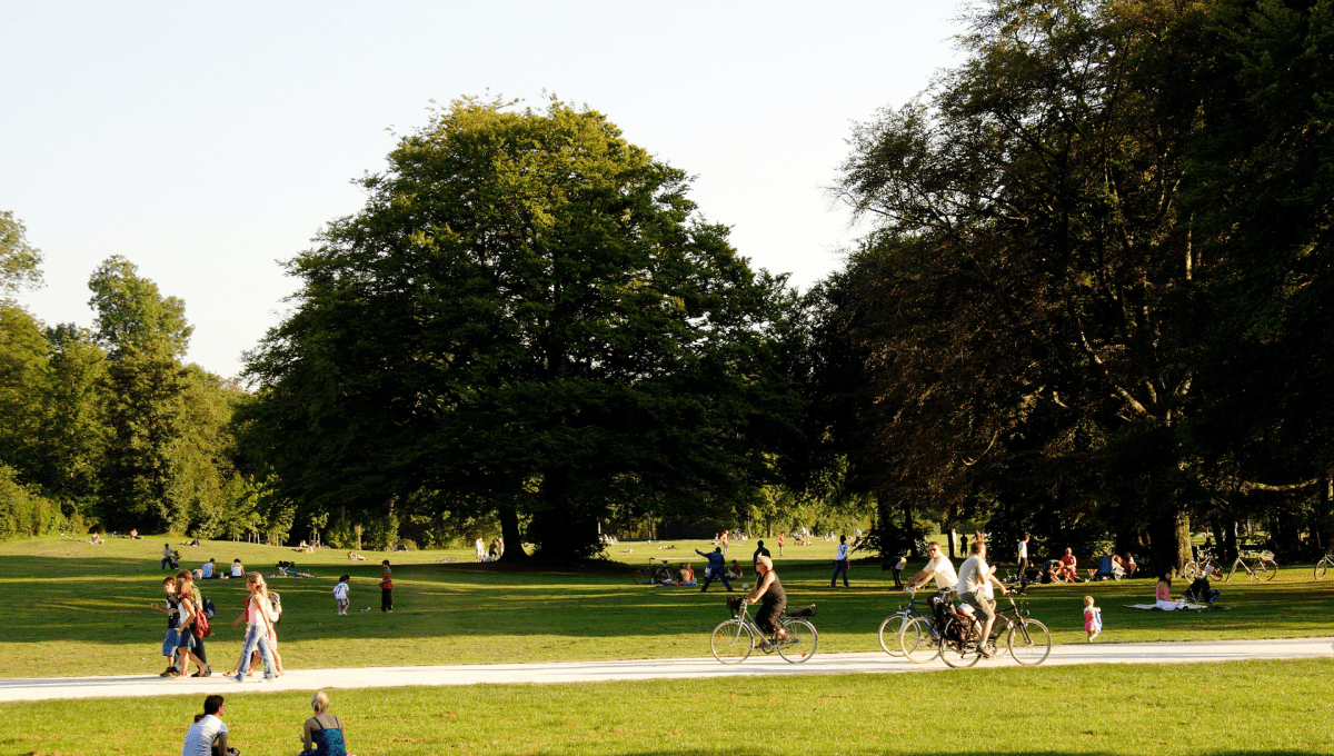 Park views of people enjoying a variety of activities