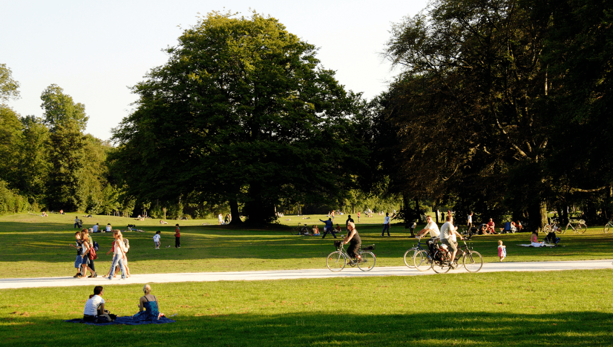 Park views of people enjoying a variety of activities